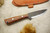 Lon Humphrey Bushcraft Pro - Scandi Grind - Cocobolo Handle - 2