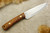 LT Wright Knives Gary Wines Bushcraft Hunter - Scandi Grind - Bocote Handle - Matte Finish / FREE Black Liners! - 1