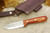 LT Wright Knives Genesis - Scandi Grind - Tulipwood - Brass Corby Bolts - 5