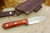 LT Wright Knives Genesis - Scandi Grind - Tulipwood - Brass Corby Bolts - 5