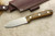 LT Wright Knives Genesis AEB-L Stainless Steel - Convex Grind - Bocote - Brass Corby Bolts - 4