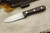 LT Wright Knives Genesis AEB-L Stainless Steel - Convex Grind - Desert Ironwood - 1