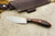 LT Wright Knives Large Northern Hunter - AEB-L Steel - Flat Grind - Desert Ironwood - 10