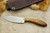 LT Wright Knives Small Northern Hunter - AEB-L Steel - Flat Grind - Desert Ironwood - Black Liners - 1