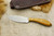 LT Wright Knives Small Northern Hunter - AEB-L Steel - Flat Grind - Desert Ironwood - Black Liners - 4