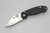 Spyderco: Para 3 C223GP Plain 3" CPM-S30V Blade Folding Knife w/ Black G10 Handle