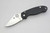 Spyderco: Para 3 C223GP Plain 3" CPM-S45VN Blade Folding Knife w/ Black G10 Handle