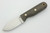 LT Wright Knives Bushbaby - A2 Steel - Flat Grind - Green Canvas Micarta - Matte Finish