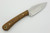 LT Wright Knives Great Plainsman - Saber Grind - D2 Steel - Bocote Handle - Brass Pins - Matte Finish / FREE BLACK LINERS! - 12