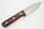 LT Wright Knives Genesis - O1 Steel - Saber Grind - Desert Ironwood - Orange Liners - 6