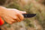 TOPS Knives 3PR-01 - 3 Pointer Fixed Blade Knife, Black Canvas Micarta Handle, Kydex Sheath