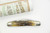 Great Eastern Cutlery Northfield #62 Easy Pocket Congress - 2 Blade - Sambar Stag - 41b