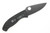 Spyderco Tenacious - C122GBBKP - Folding Knife - Black 8Cr13MoV Stainless Steel Blade - Black G10 Handle