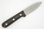 LT Wright Knives Genesis - AEB-L Stainless Steel - Scandi Grind - African Blackwood - FREE Black Liners - 5