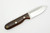 LT Wright Knives Bushbaby - A2 - Saber Grind - Cocobolo - Polished Finish - FREE Black Liners! - 2