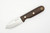 LT Wright Knives Bushbaby - A2 - Saber Grind - Bocote - Matte Finish - FREE Black Liners! - 3