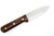 LT Wright Knives Genesis  - A2 Steel - Scandi Grind - Desert Ironwood Handle - Black Liners - 2
