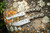 TOPS Muley Combo (Skinner & Saw), MCMB-01 - Tumble Finish 154CM Blade - Tan & Black G10 Handle w/ Orange Liner - LEATHER Sheath