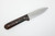 LT Wright Knives Genesis - 3/32" AEB-L Stainless Steel - Scandi Grind - Desert Ironwood, Black Liners - Mosaic Pins - 4
