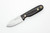 LT Wright Knives Bushbaby - Saber Grind - O1 Steel - Desert Ironwood - Black Liners - 5 / FREE BLACK LINERS!