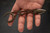 TOPS Knives: Papa Delta - PD-01 - Midnight Bronze 1.63" Blade - Skeletonized Handle