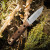 Reiff Knives: F4 Bushcraft - Fixed Blade-  - Polished Stonewash, MagnaCut - Natural Canvas Micarta