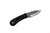 Dave Wenger Blades: Aphid XL-2- 2" Nitro-V Steel Blade - Black Paracord Wrapped Handle - Kydex Sheath