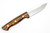 Lishen Knives - Dakota - 3.75" AEB-L Fixed Blade W/ Desert Ironwood Handle