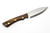 Lishen Knives - Little Canuck - 3.25" AEB-L Scandi Grind Fixed Blade W/ Desert Ironwood W/ Brass Pins Handle - 1