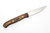 Lishen Knives - Little Fowl - 2.8" AEB-L Flat Grind Fixed Blade W/ Buckskin Dymalux W/ Mosaic Pins Handle