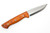 Lishen Knives - Dakota - 3.75" AEB-L Scandi Grind Fixed Blade W/ Cocobolo Dymalux W/ Mosaic Pins Handle