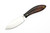 LT Wright Knives Small Northern Hunter - AEB-L Steel - High Saber Grind - Desert Ironwood W/ Black Liners - 9