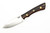 Lishen Knives - Little Canuck - 3.25" AEB-L Saber Grind Fixed Blade W/ Desert Ironwood W/ Brass Pins Handle