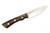 Lishen Knives - Little Canuck - 3.25" AEB-L Saber Grind Fixed Blade W/ Desert Ironwood W/ Brass Pins Handle - 2