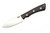 Lishen Knives - Little Canuck - 3.25" AEB-L Saber Grind Fixed Blade W/ Purple Maple Burl W/ Mosaic Pins Handle