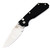 ProTech 2440-Mirror Strider SNG, Compound Grind Limited Edition