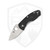 Spyderco Ambitious Lightweight, Black FRN / Satin 8Cr13MoV - C148PBK