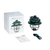 Olight Olantern Classic Mini, Forest Green