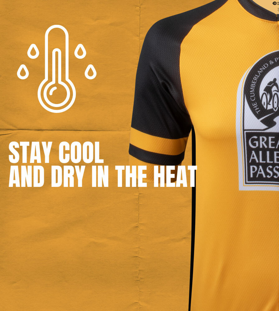 Black and Gold GAP Trail Jersey Temperature Graphic