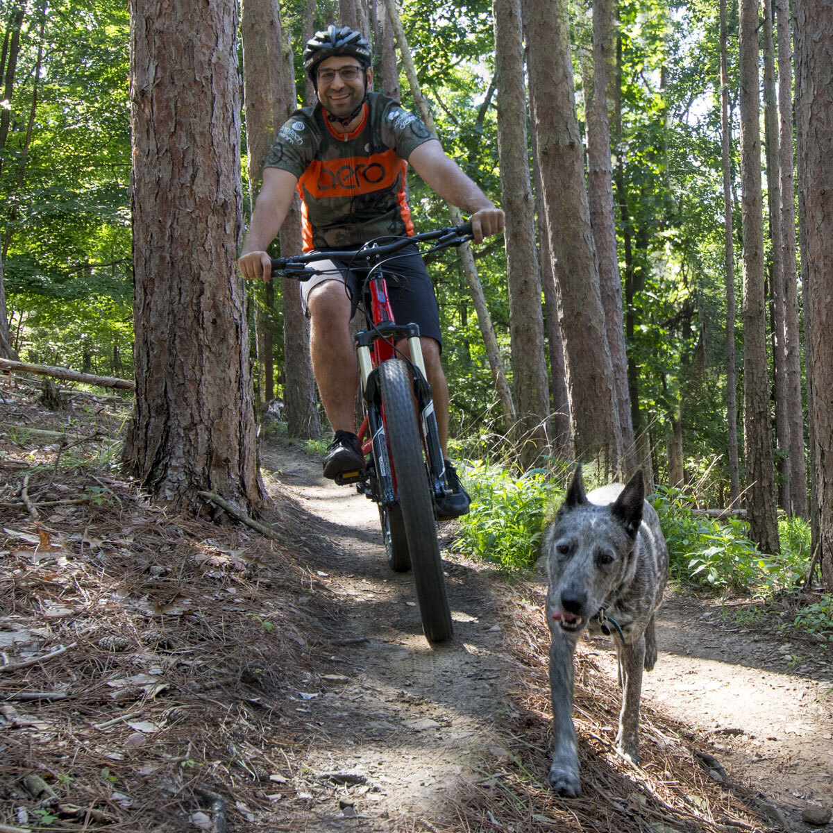 Men's Multi Sport Short Details Biking