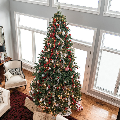 12' Pre-Lit Northern Pine Full Artificial Christmas Tree, Clear Lights