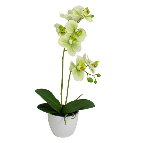 Real Touch™️Artificial Orchid Potted Plant - 14" - Green