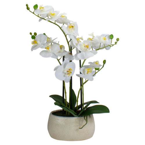 Real Touch™️ Artificial Orchid Plant in a White Oval Pot - 22" - White and Yellow