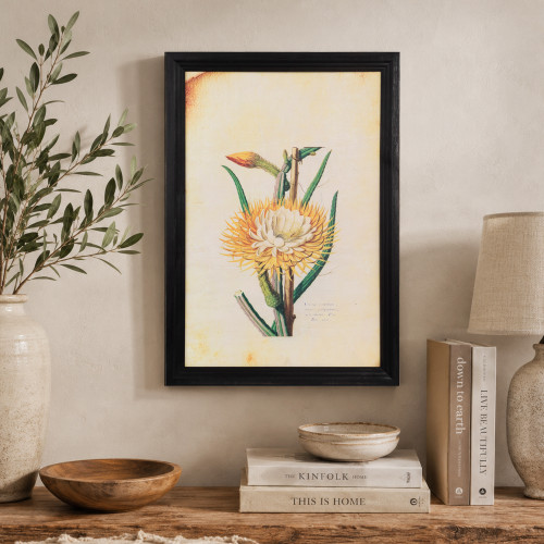 Desert Cereus Floral Photo Framed Wall Art - 26" x 18" - Black and Beige
