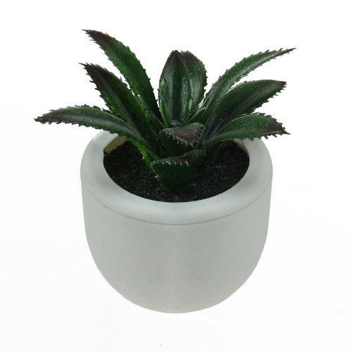 3.75" Mini Faux Succulent in White Planter