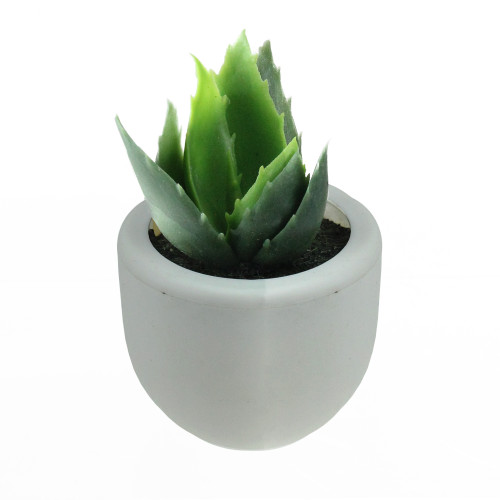 3.5" Mini Green Succulent Planter with White Pot Table Top Decoration