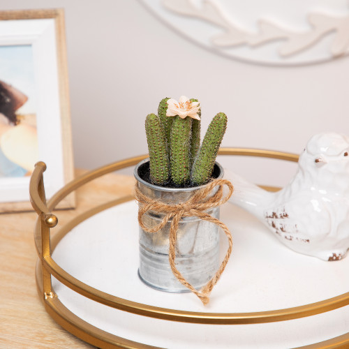 6" Green Artificial Mini Faux Columnar Cactus in Planter with Twine Bow