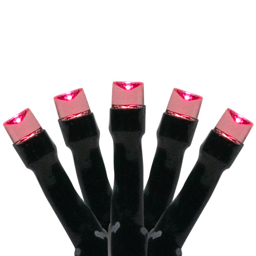 LED Wide Angle Christmas Lights - Pink - 10' Black Wire - 20ct