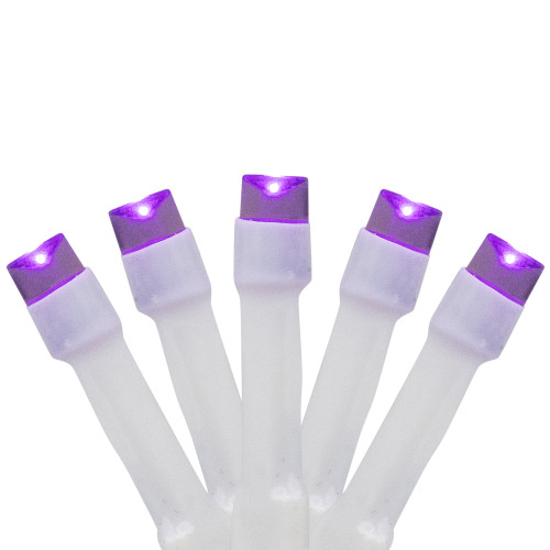 LED Wide Angle Halloween Lights - Purple - 10' White Wire - 20ct