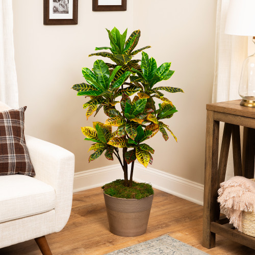 Artificial Croton Tree with Variegated Leaves - 45.75"
